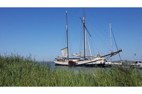 Schuttevaer, excursie Marker Wadden Fogol